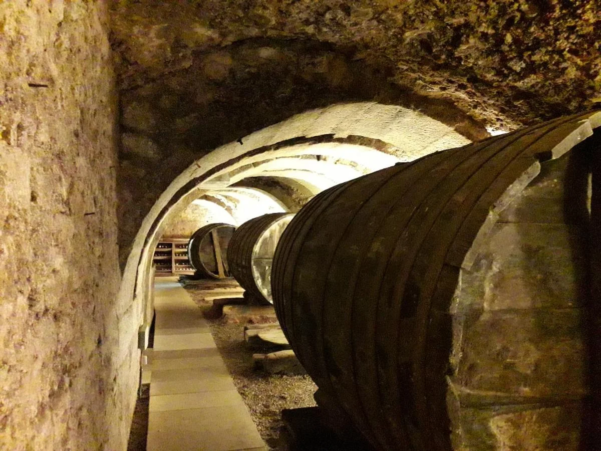 El interior de la bodega, con las barricas