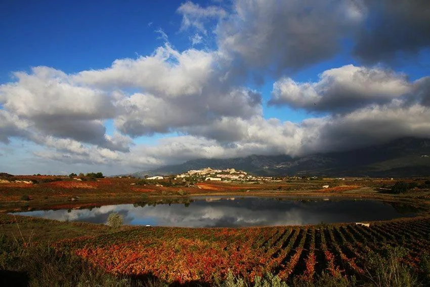 El paisaje de la Rioja Alavesa