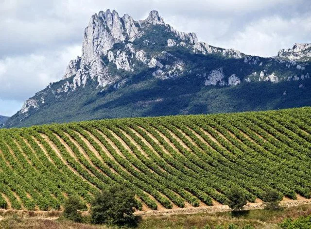 La Sierra de Cantabria sobre las viñas